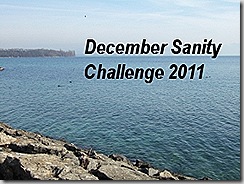 december sanity challenge badge final