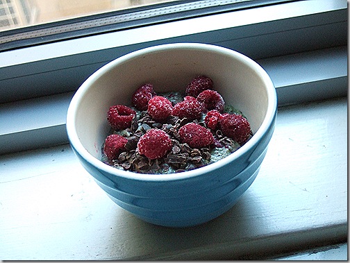 Raspberry Swirl Chia Pudding 010