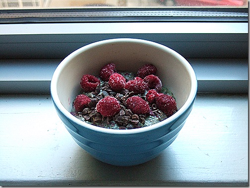 Raspberry Swirl Chia Pudding 013