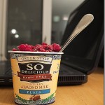 So Delicious Greek Yogurt (6)