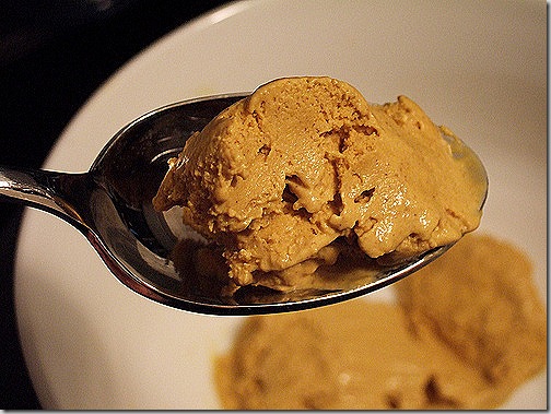 Pumpkin ice cream