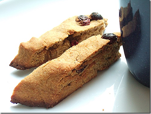 cranberry pumpkin spice biscotti 022